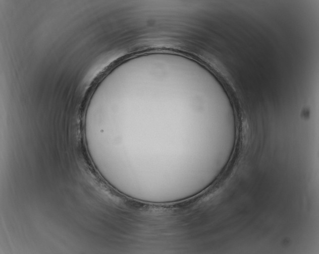 X0000116630782200912312159