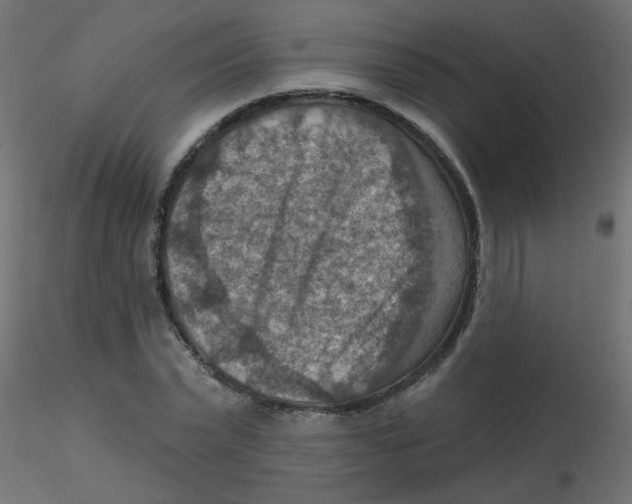 X0000116630783200912312159