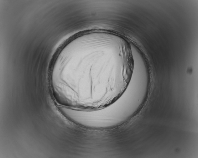X0000116630784200912312159