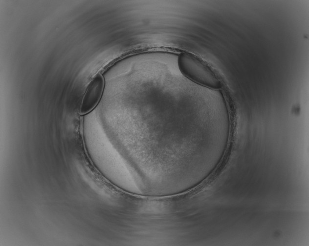 X0000116630785200912312159