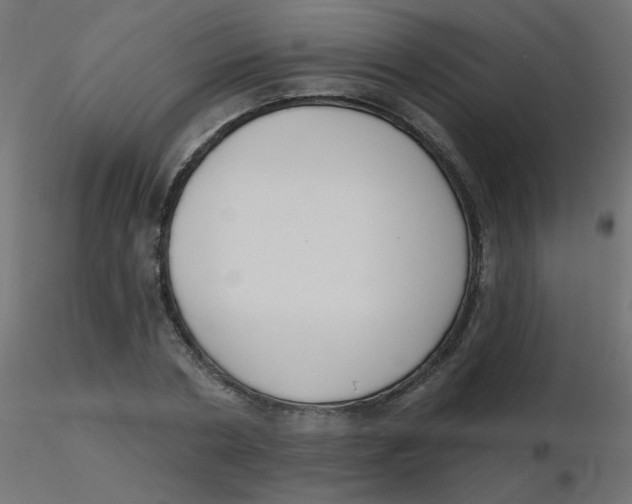 X0000116630786200912312159