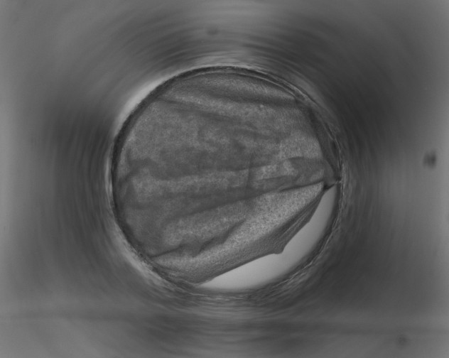 X0000116630788200912312159