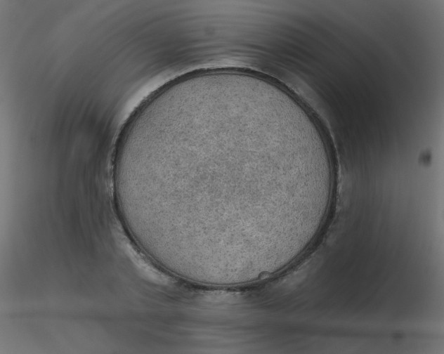 X0000116630789200912312159