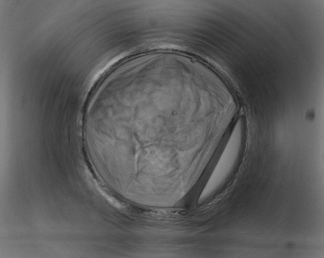 X0000116630790200912312159