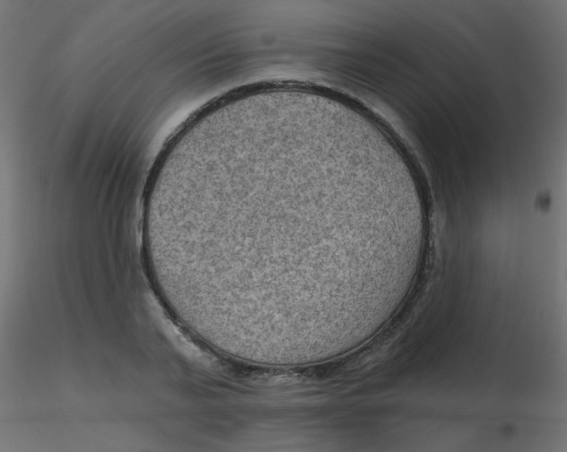 X0000116630791200912312159