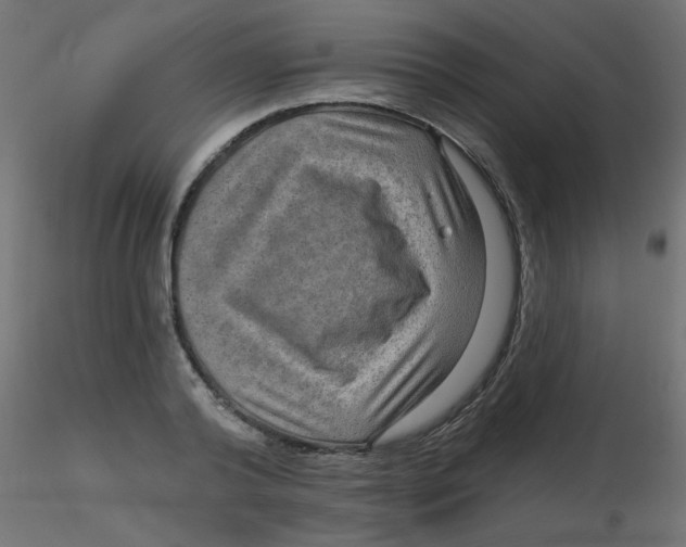 X0000116630792200912312159