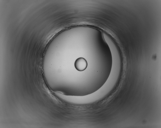 X0000116630793200912312159