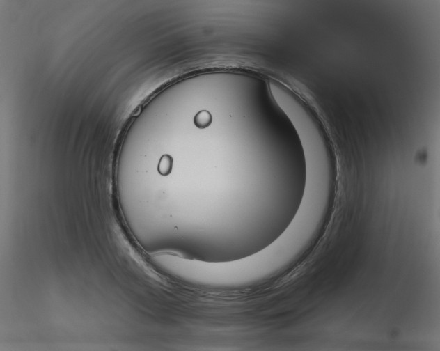 X0000116630794200912312159