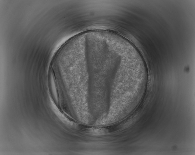 X0000116630795200912312159