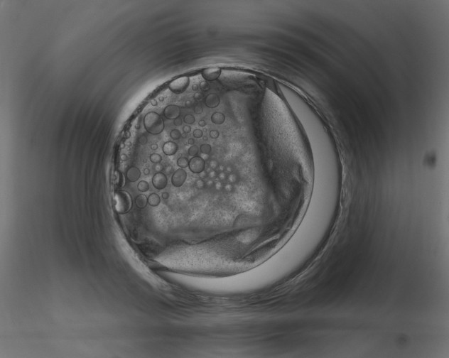 X0000116630796200912312158