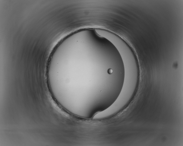 X0000116630797200912312158