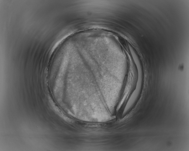 X0000116630798200912312158
