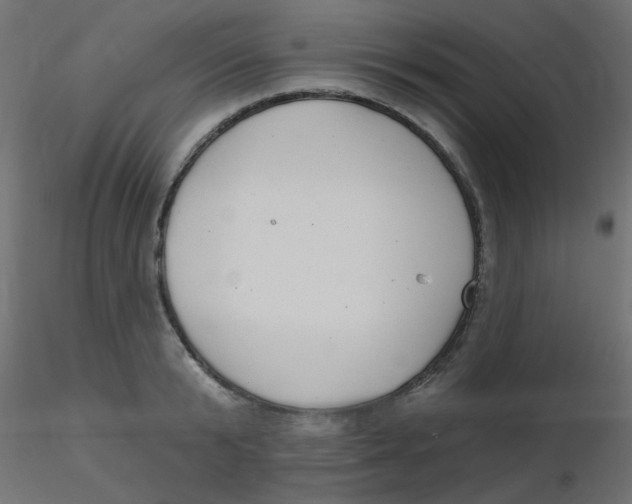 X0000116630799200912312158