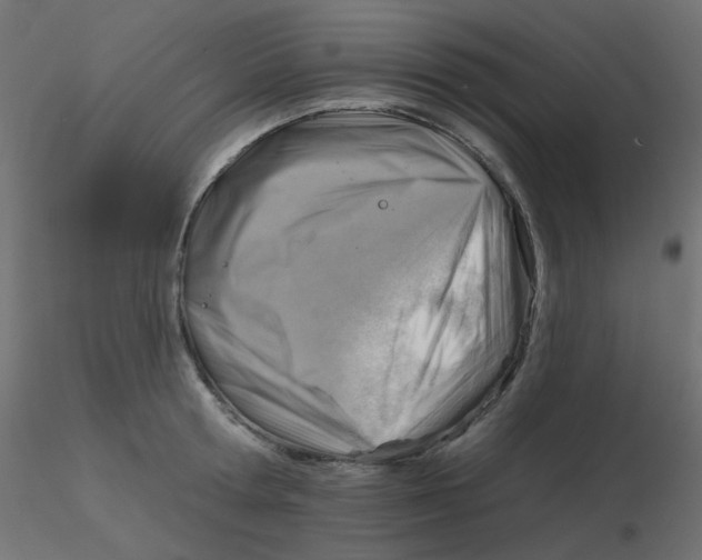X0000116630802200912312158