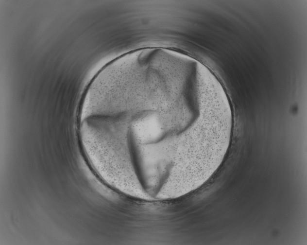 X0000116630803200912312158
