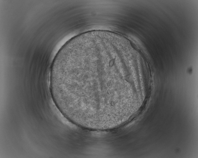 X0000116630804200912312158