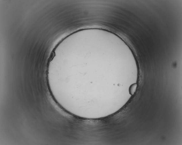 X0000116630805200912312158