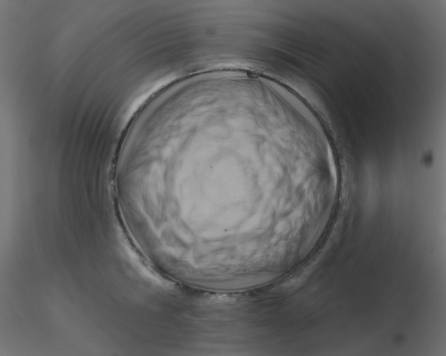 X0000116630806200912312158