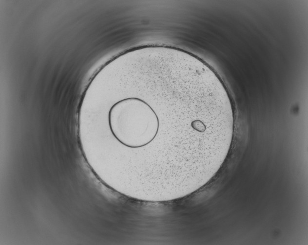 X0000116630807200912312158