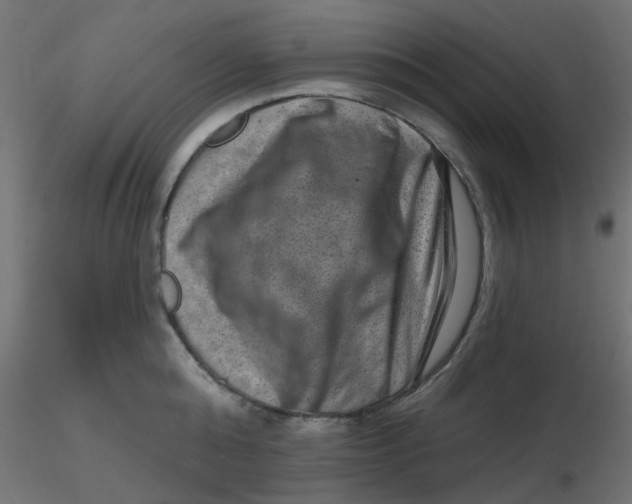 X0000116630808200912312158