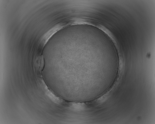 X0000116630809200912312158