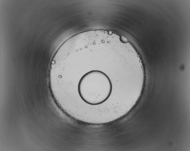 X0000116630810200912312158
