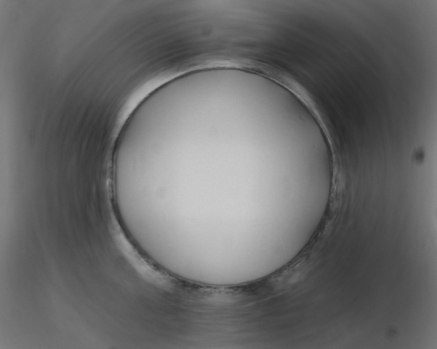 X0000116630811200912312158