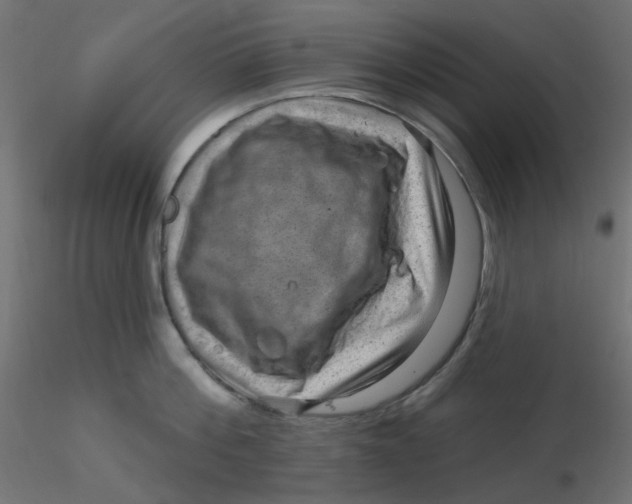 X0000116630812200912312158