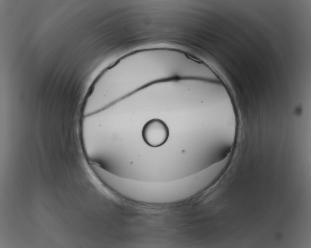 X0000116630813200912312158