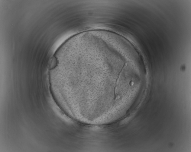 X0000116630814200912312158