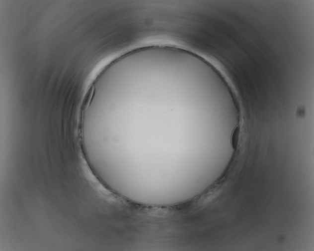 X0000116630815200912312158