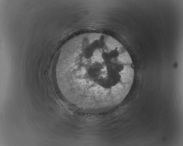 X0000116630817200912312158