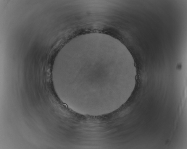 X0000116630818200912312158