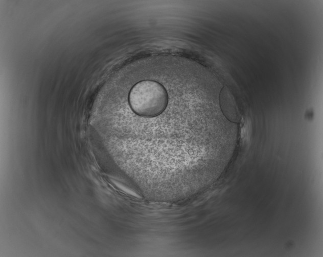 X0000116630819200912312158