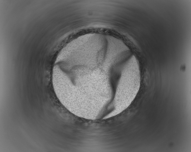 X0000116630821200912312158