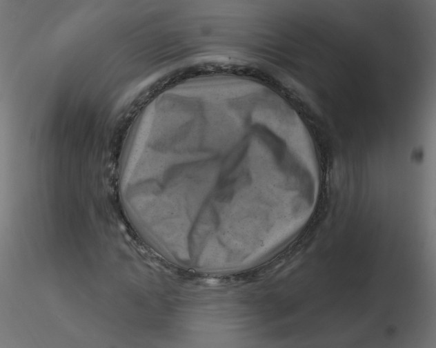 X0000116630822200912312158