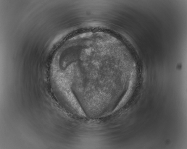 X0000116630823200912312158