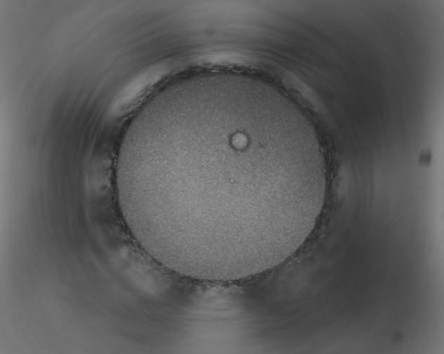X0000116630824200912312158