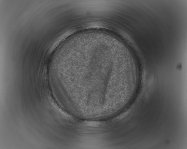 X0000116630825200912312158