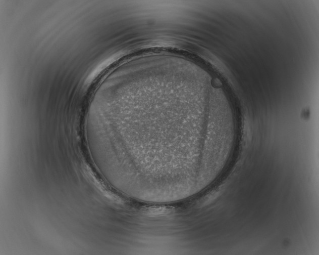 X0000116630826200912312158