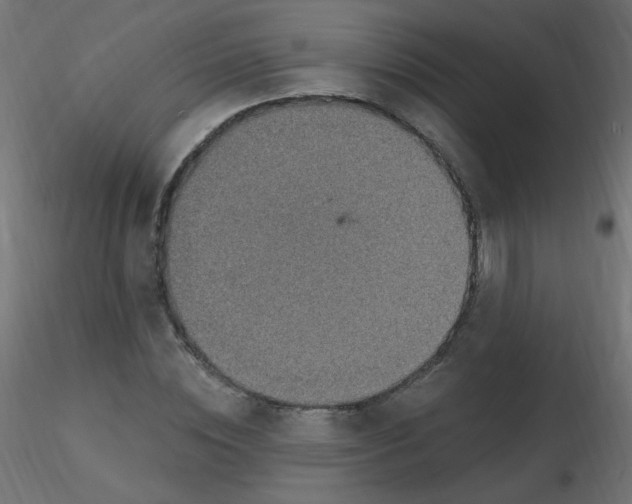 X0000116630828200912312158