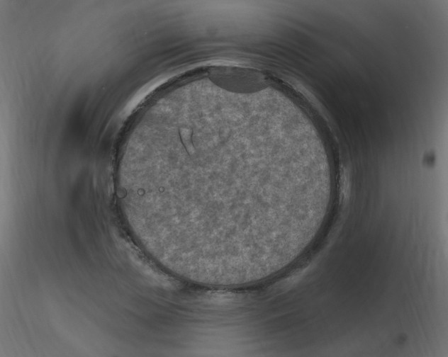 X0000116630829200912312158