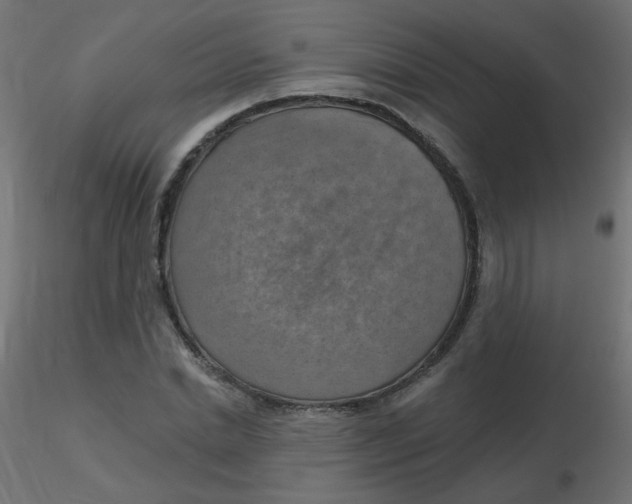 X0000116630830200912312158