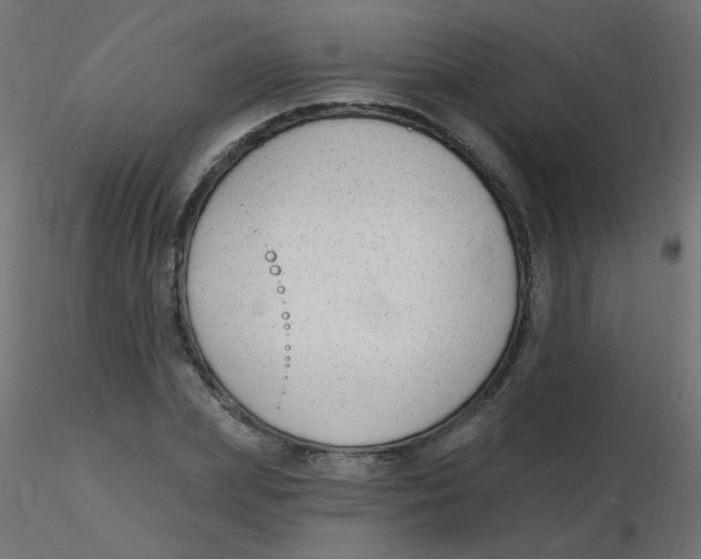 X0000116630831200912312158