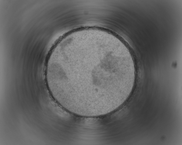 X0000116630832200912312158