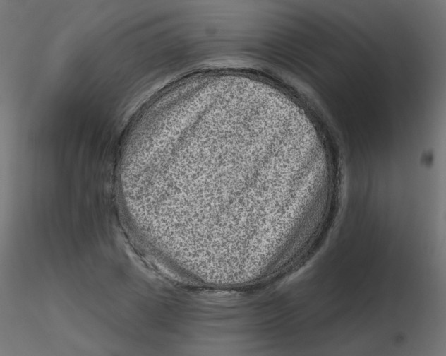 X0000116630833200912312158