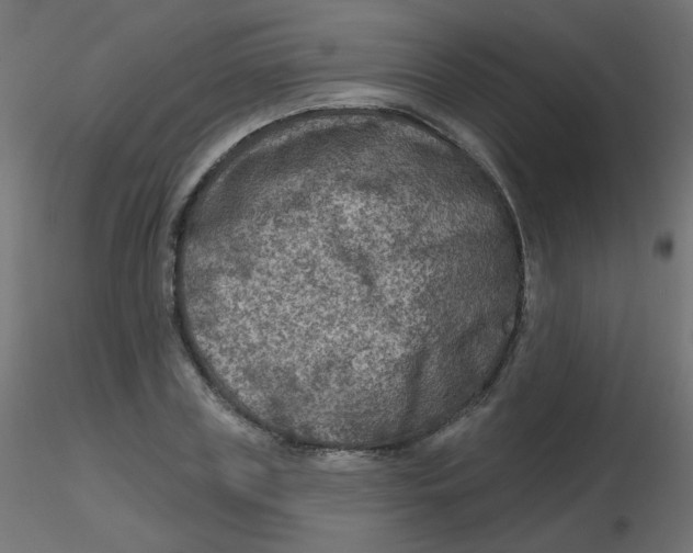 X0000116630835200912312158