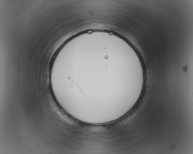 X0000116630837200912312158