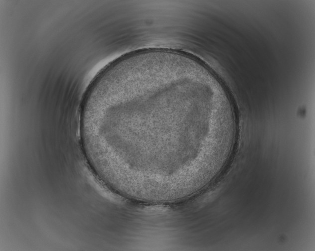 X0000116630838200912312158