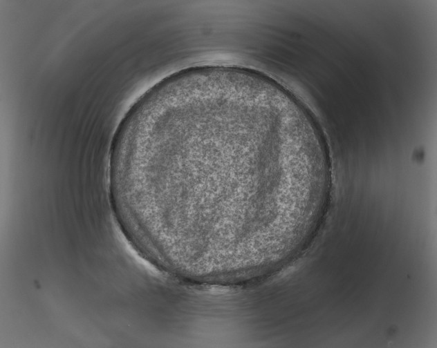 X0000116630839200912312158